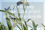 The Simple Editorial | 15 Style Font, a Serif Font by IM Studio (Thumbnail 10 of 12)