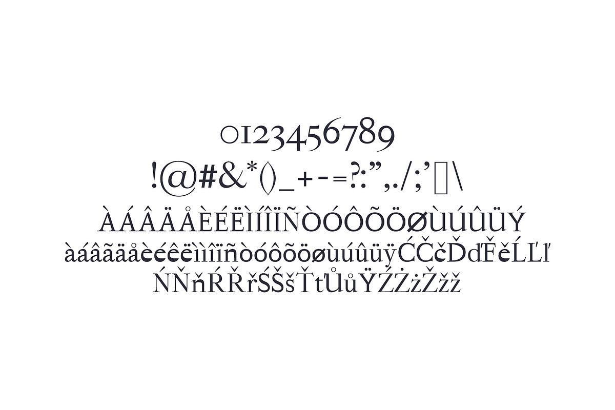 Hagito Serif Font Family Pack preview 4