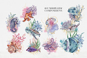 Underwater World in Watercolour, an Animal Illustration by Busy May Studio (Thumbnail 3 of 11)