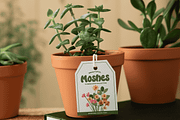MONSTERA, a Handwritten Font by Mozatype (Thumbnail 4 of 10)