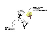 Cotton Flower, an Object Graphic by AnkaDrozd (Thumbnail 2 of 7)