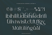 Gevilra - Elegant Serif Font, a Font by Flawless And Co (Thumbnail 10 of 10)