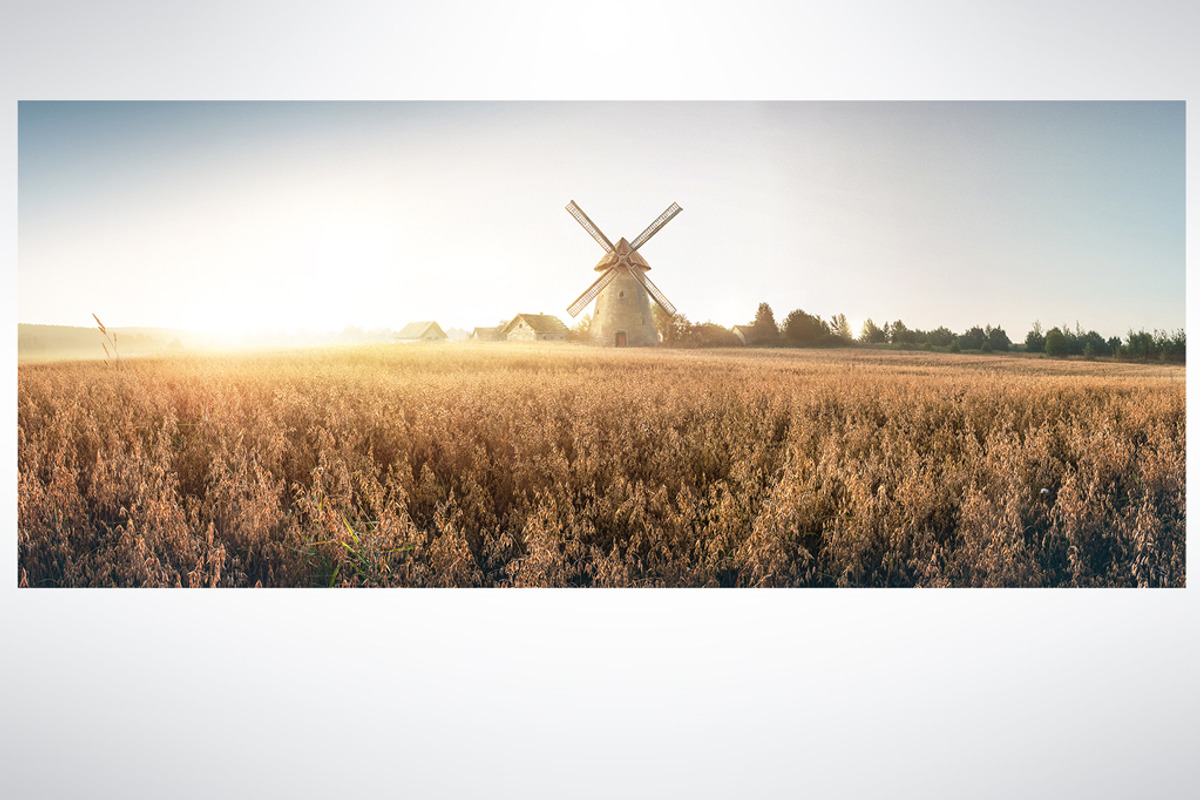 Autumn rural landscape, a Food Illustration by Countryside life (Photo 2 of 9)