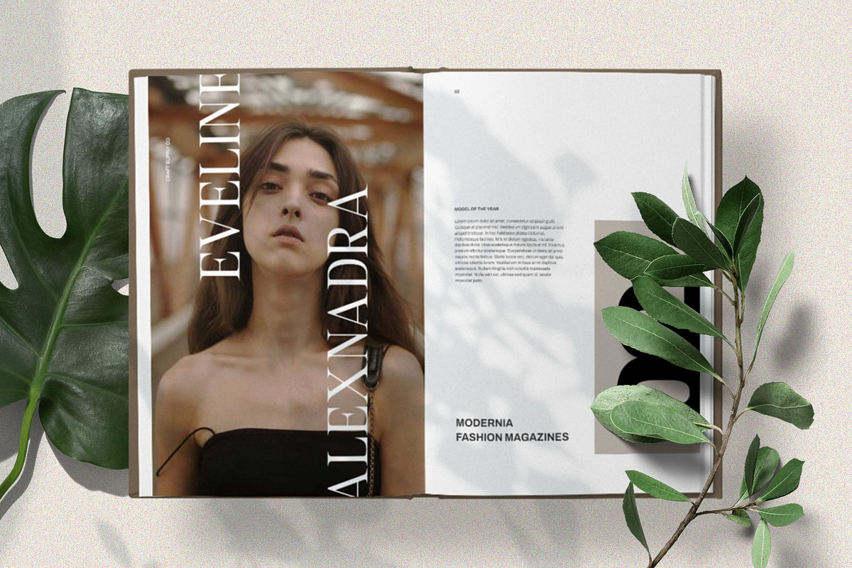 Dincy – Elegant Serif, a Serif Font by Craft Supply Co. (Photo 8 of 8)