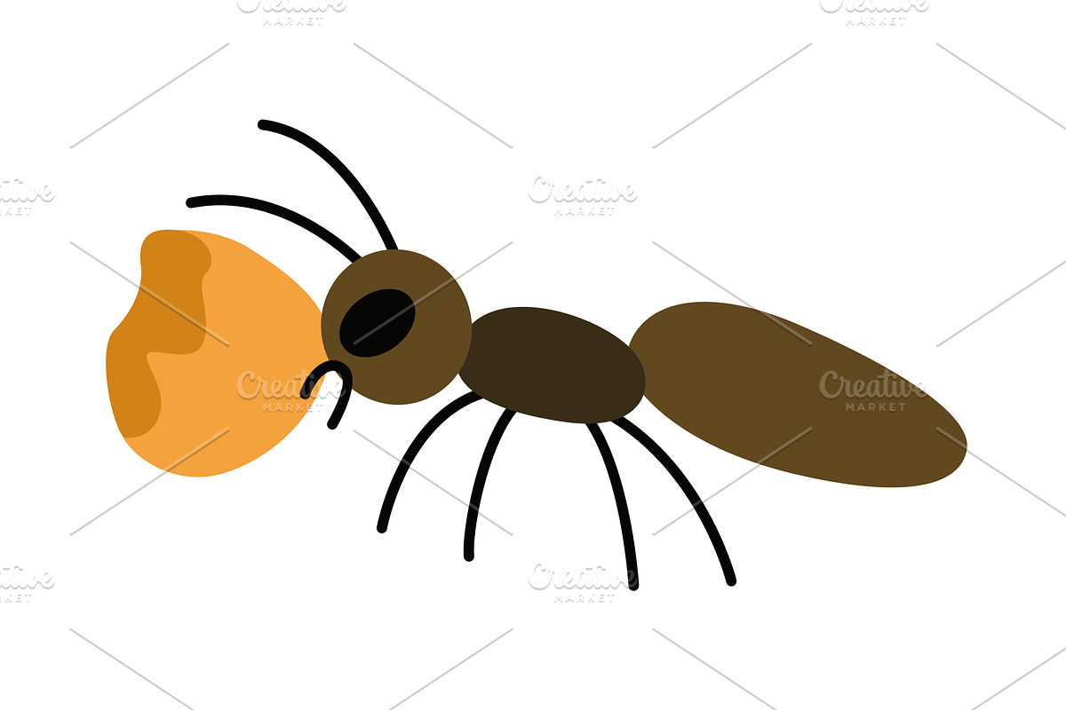Vector image of a cute, an Animal Illustration by Things for designers