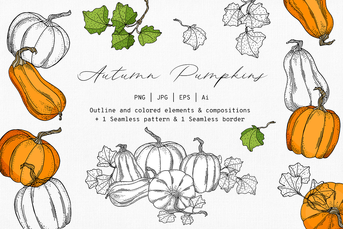 Autumn Pumpkins Hand Drawn Graphics, a Food Illustration by Olya Haifisch (Photo 1 of 9)