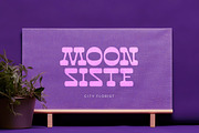 Disco Groov Retro Playful Serif, a Serif Font by timelesstype.co (Thumbnail 15 of 20)