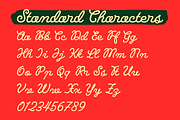 Durlane – Casual Monoline Script, a Script Font by Letterhend Studio (Thumbnail 4 of 9)