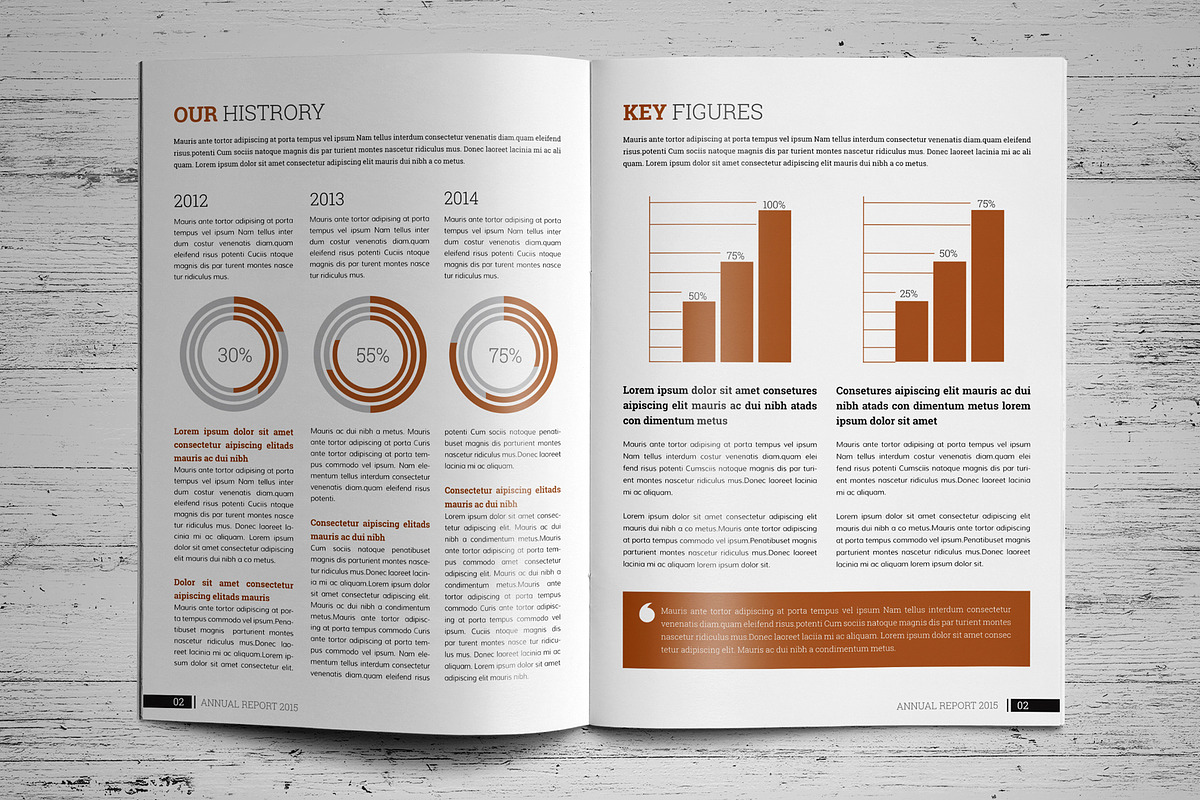 Annual Report Template V7, a Brochure Template by JanySultana (Photo 3 of 12)