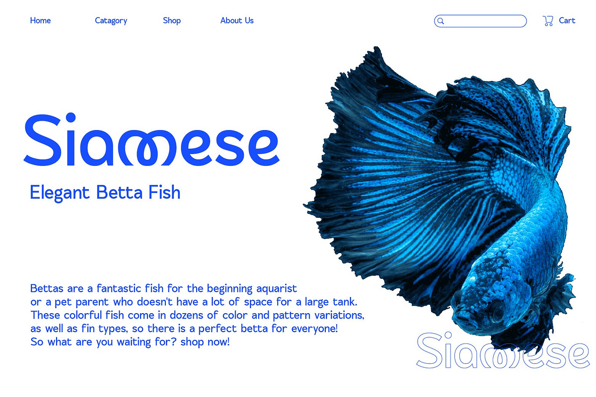 SS Flowkey - Loopy Sans Font, a Sans Serif Font by Typocracy Studio (Photo 6 of 11)