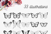 Butterfly | Vector illustrations, an Object Illustration by Wander Designs (Thumbnail 6 of 7)