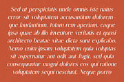 Muteds Starlit Modern Serif Font, a Sans Serif Font by timelesstype.co (Thumbnail 15 of 20)