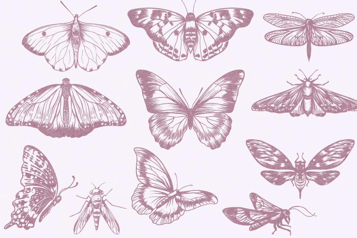 Vintage Bundle- 250 vector elements, an Object Graphic by TatianaCociorva (Photo 4 of 19)