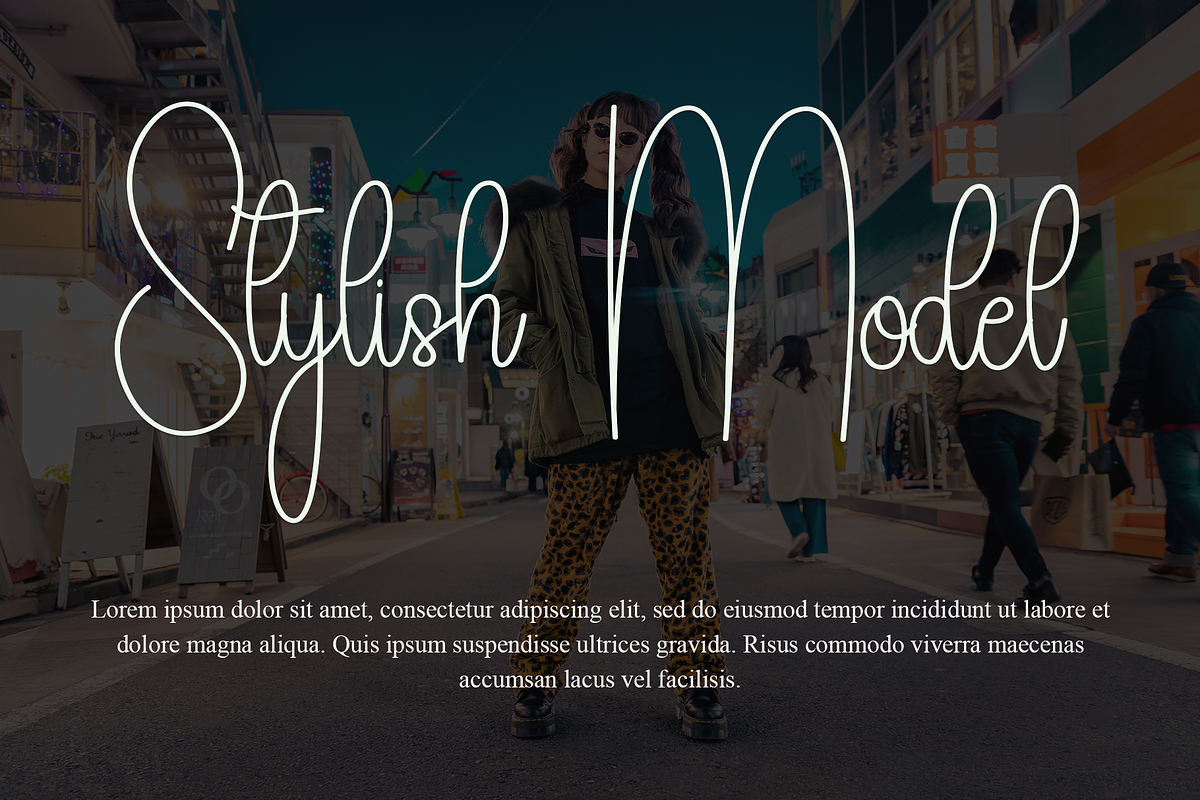 Stylish, a Serif Font by FreshTypeINK (Photo 7 of 8)