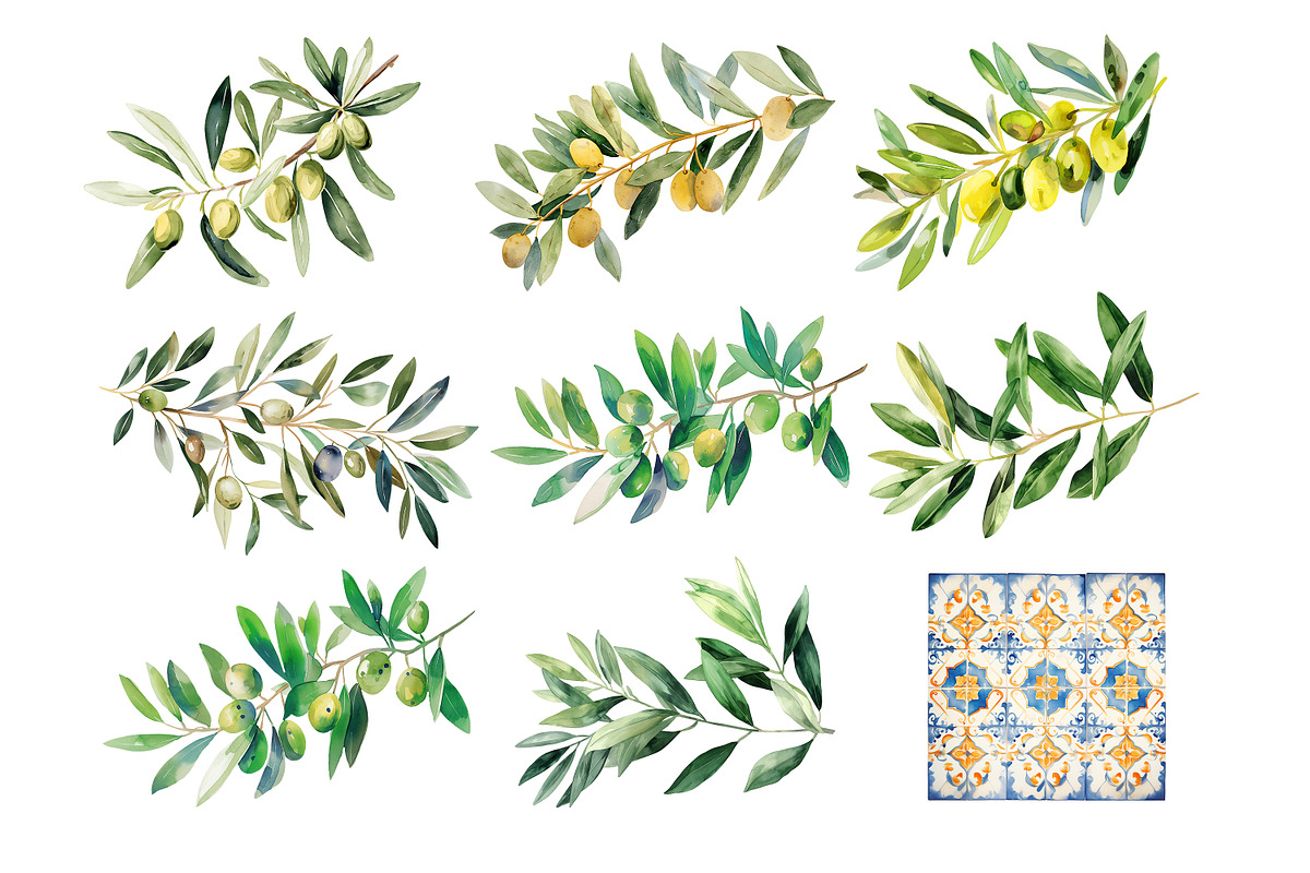 Watercolor Oliva Branch Clipart Png, an Object Graphic by Naty Art (Photo 2 of 8)