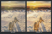20 Wildlife Lightroom Presets & LUTs, a Preset Add-On by SparkleStock (Thumbnail 5 of 9)