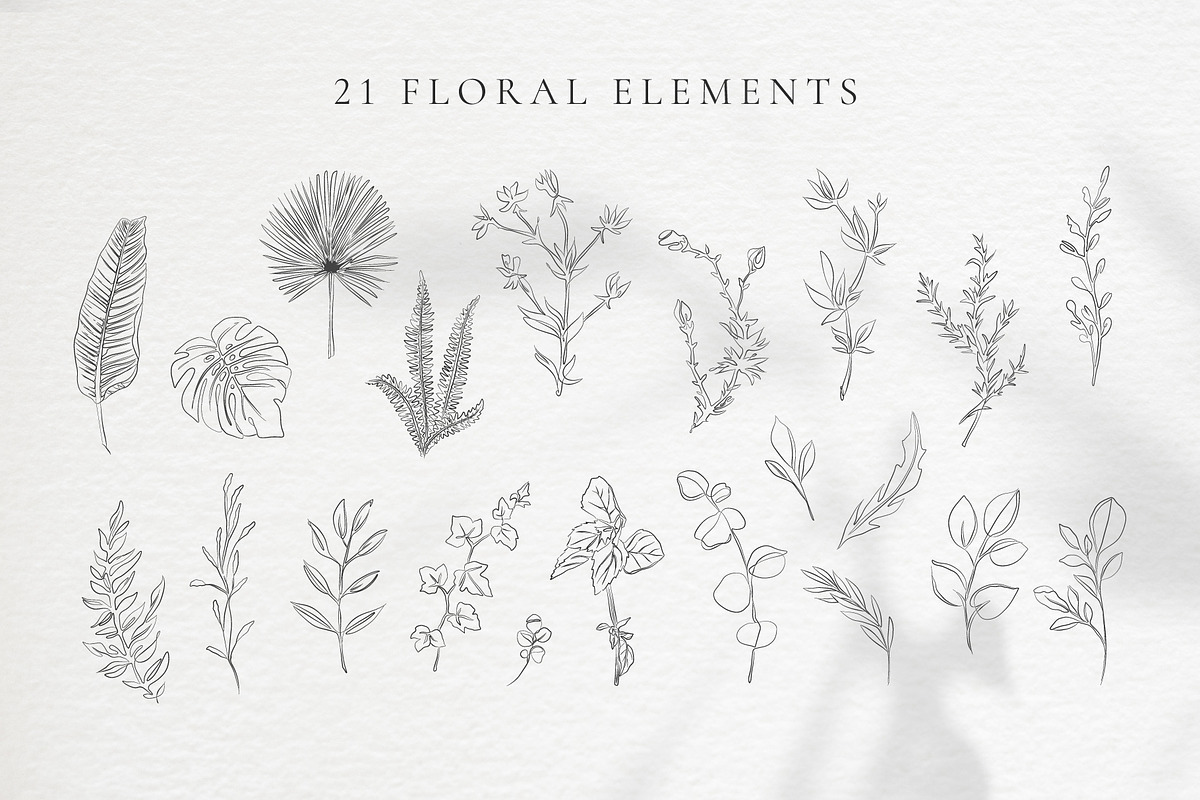 Floristic line art illustrations, a Decorative Illustration by La Petite Line Art (Photo 4 of 10)
