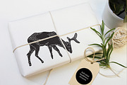 Tortoise and Deer Design Kit, a Branding & Logo Template by Emma Make (Thumbnail 4 of 12)