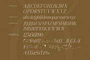 Seraphine Modern Font Serif, a Serif Font by Letterena Studios (Thumbnail 14 of 15)