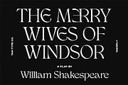 TAN - WAVERLY, a Serif Font by TanType (Thumbnail 19 of 22)