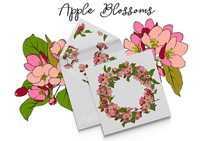 Apple Blossoms