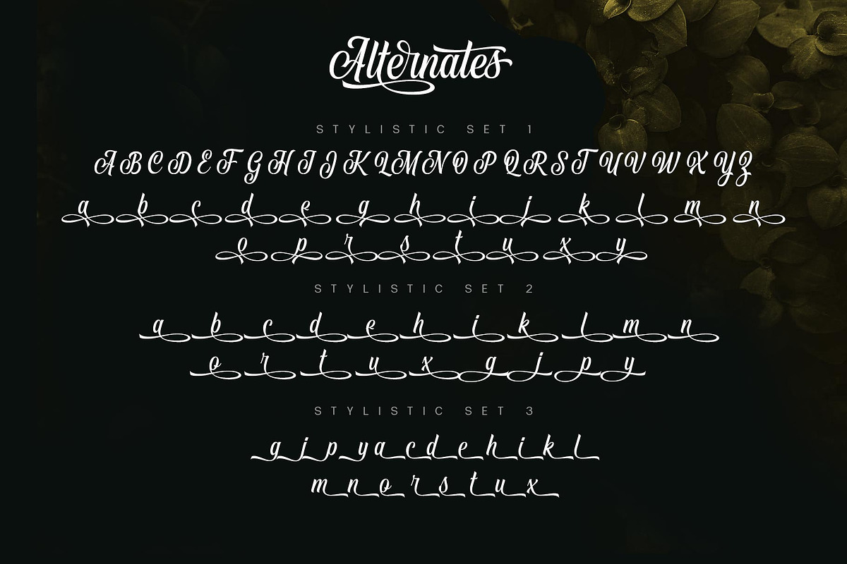 Vontgod Typeface, a Script Font by alit design (Photo 6 of 18)