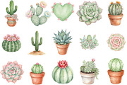 Watercolor Succulent Cactus Clipart, an Illustration by Designking (Thumbnail 3 of 5)