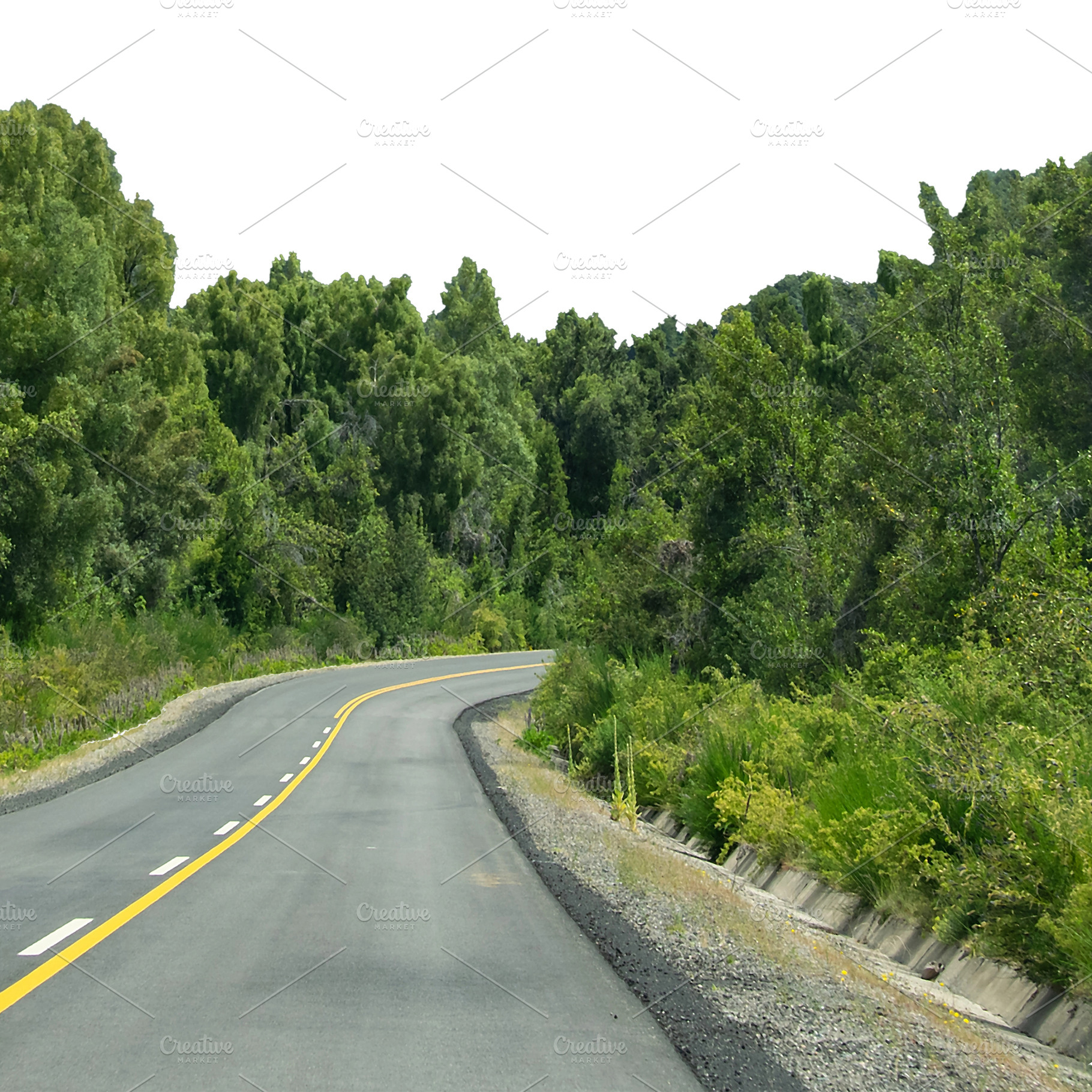 Isolated image of empty highway crossing forest landscape, a Nature Photo by DanFLCreativo
