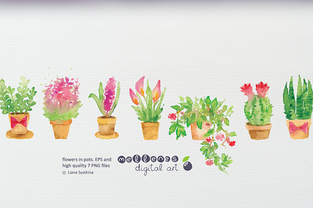 Plants in pots clipart