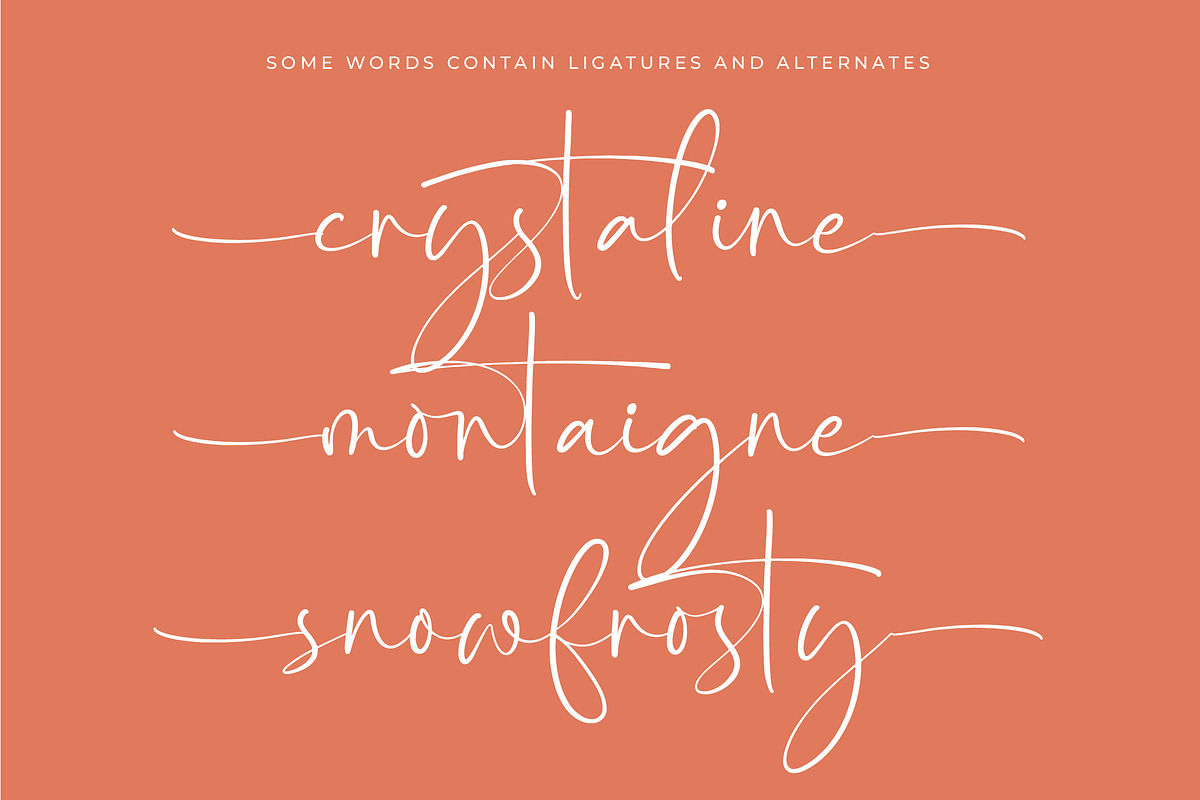 Starhontis Clentiona Stylish Font, a Script Font by stylishtype.co (Photo 9 of 20)