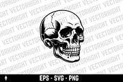 human skull, an Object Illustration by Vectorhight (Thumbnail 3 of 3)