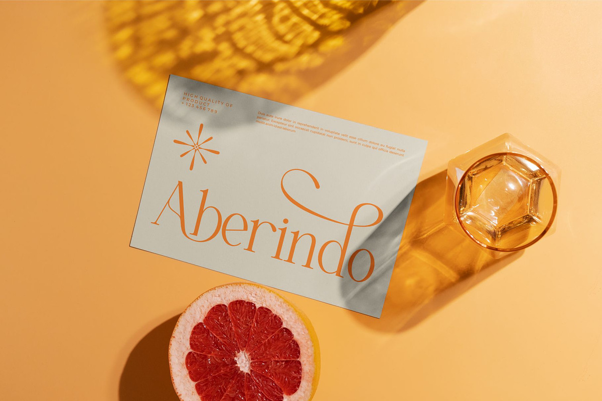 Aserha || Modern Elegant Serif Font, a Serif Font by Ermedia Studio (Photo 6 of 10)