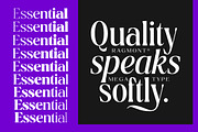 Ragmont Serif, a Serif Font by Megatype (Thumbnail 12 of 15)
