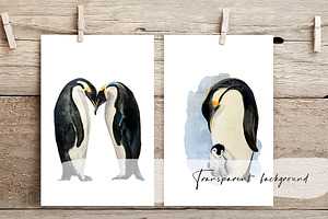 Watercolor Penguin Life Cycle Set