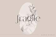 Rabble - display typeface, a Serif Font by Only Fonts (Thumbnail 6 of 10)