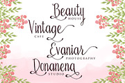 Bellanie Script, a Script Font by ianmikraz (Thumbnail 2 of 5)