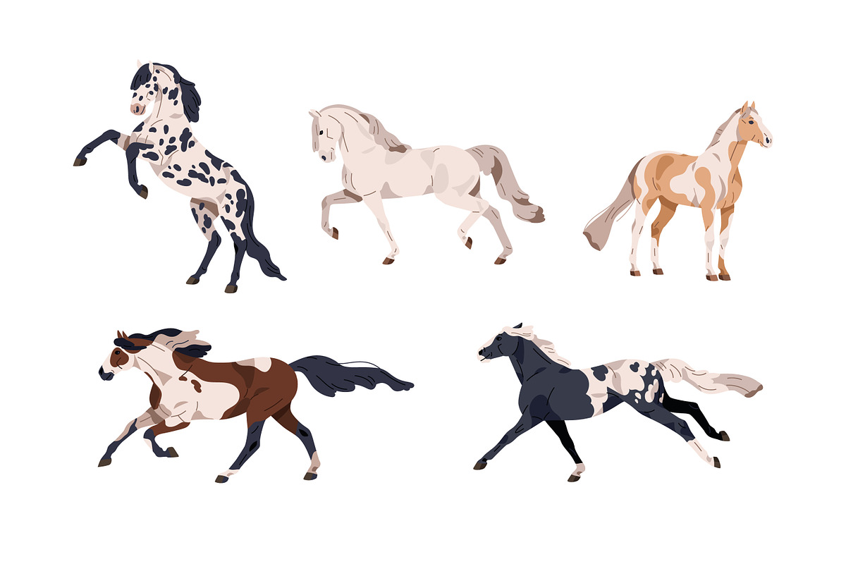 Horses of different breeds set, an Animal Illustration by Good Studio (Photo 4 of 4)