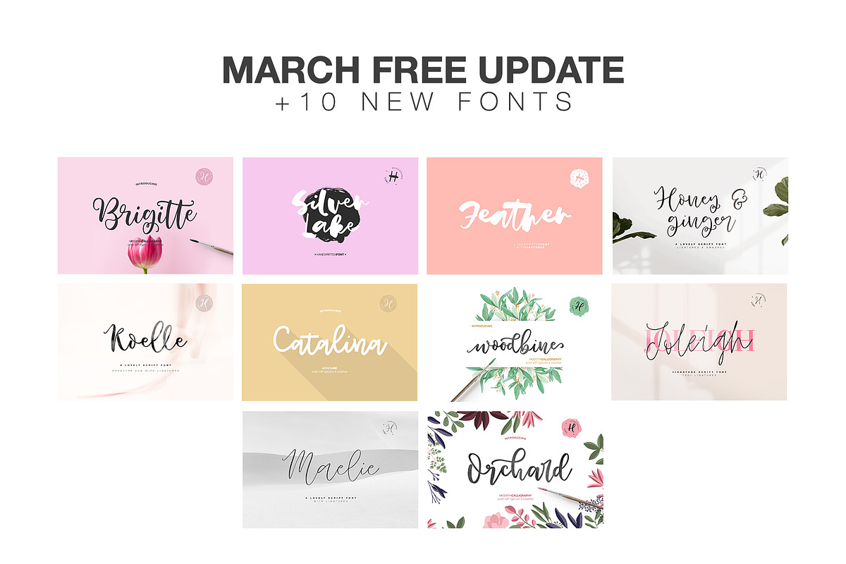 202 FONTS BUNDLE preview 2
