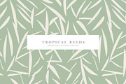 Tropical Reeds, a Pattern Graphic by Nadezda (Thumbnail 1 of 4)