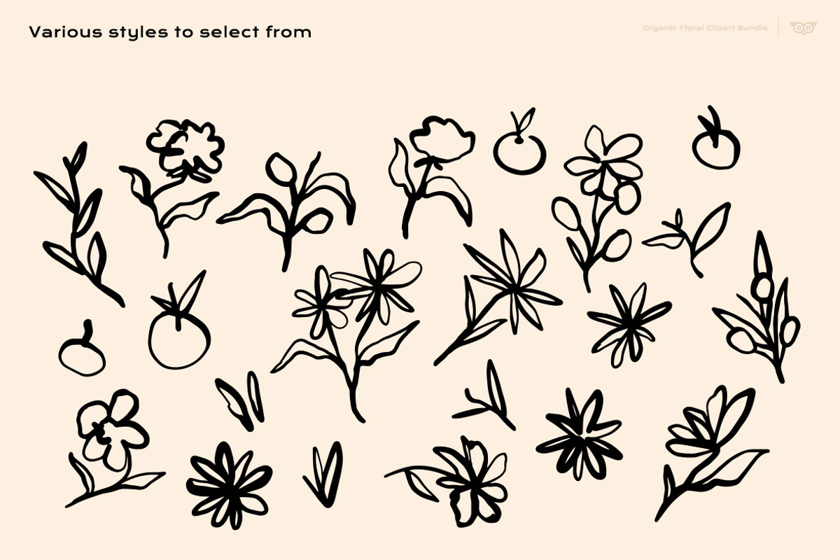 Organic Floral Clipart Bundle, a Decorative Illustration by ClayStudio (Photo 8 of 10)