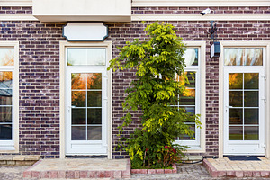 Storefront with large windows featuring background, business, and fashion, an Architecture Photo by Photostock