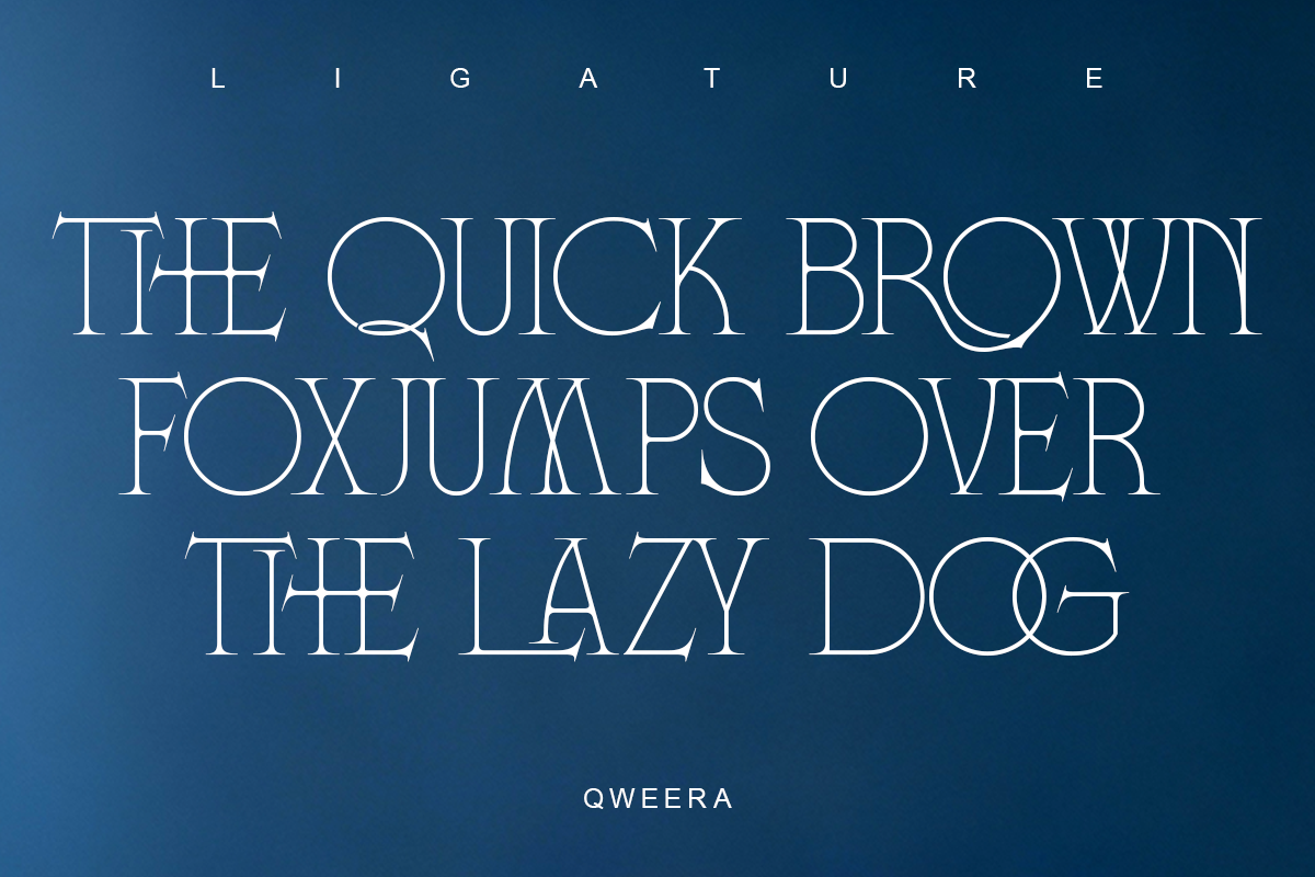 Fonca - Minimal Elegant Branding, a Serif Font by Qweera Studio (Photo 8 of 12)