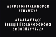 Valorous Display Font, a Sans Serif Font by Bart Wesolek (Thumbnail 3 of 10)