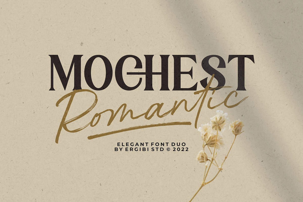 Mochest Romantic - Elegant Font Duo, a Script Font by ErgibiStudio (Photo 1 of 12)