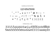 Ariane Coachella Elegant Serif Font, a Serif Font by UICreative (Thumbnail 5 of 13)
