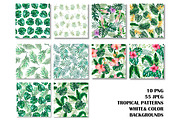 Watercolor Tropical BIG BUNDLE PNG, a Seasonal Illustration by PatternPalette (Thumbnail 14 of 15)