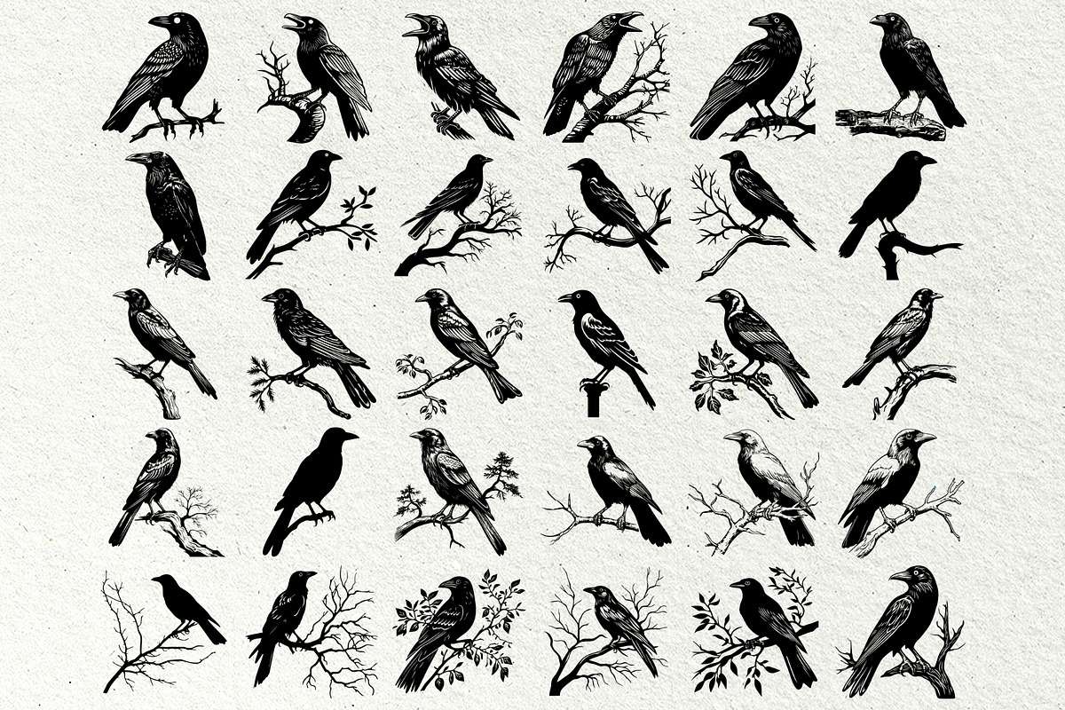 Crow SVG File. Raven Clipart PNG, an Animal Illustration by DENIDigitalArtSudio (Photo 3 of 8)