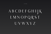 Honeymoon - Elegant Serif Font, a Serif Font by vix.vix (Thumbnail 3 of 6)