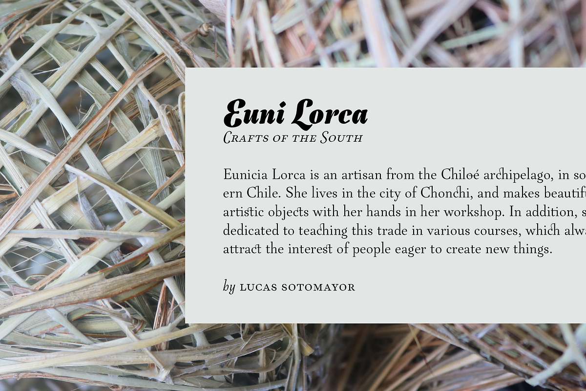 LC Tejuela, a Serif Font by CTCH (Photo 4 of 13)