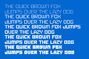 Wisfox, a Symbol Font by Ditatype (Thumbnail 10 of 16)